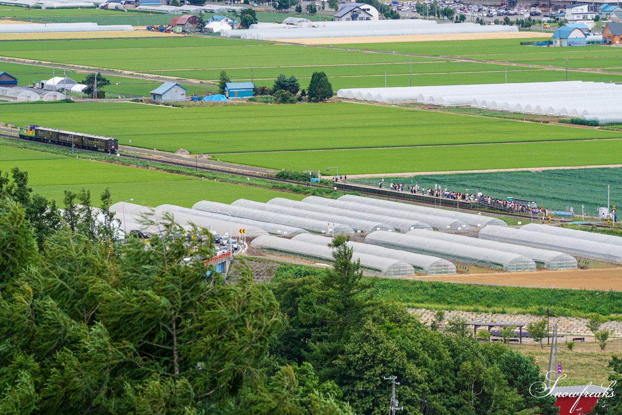 夏の北海道観光の定番・中富良野町の『ラベンダー畑』をカメラ散歩♪